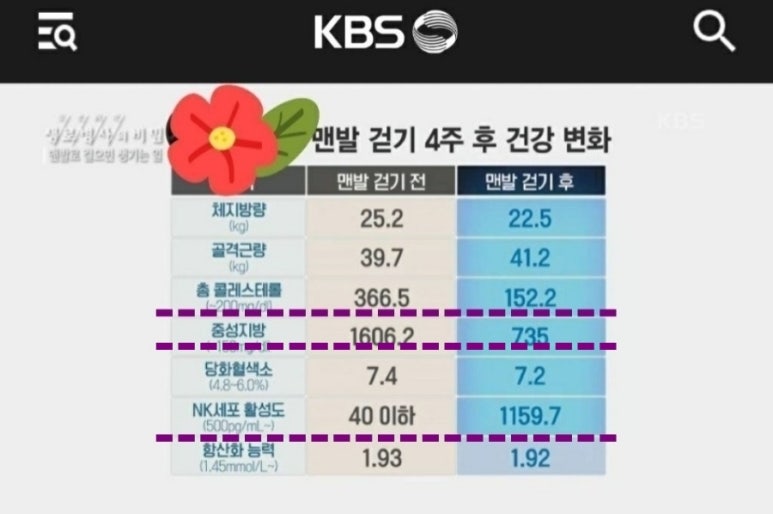 흥부식품 이미지