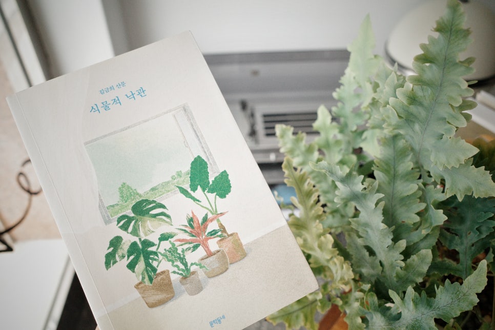 식물동네 이미지