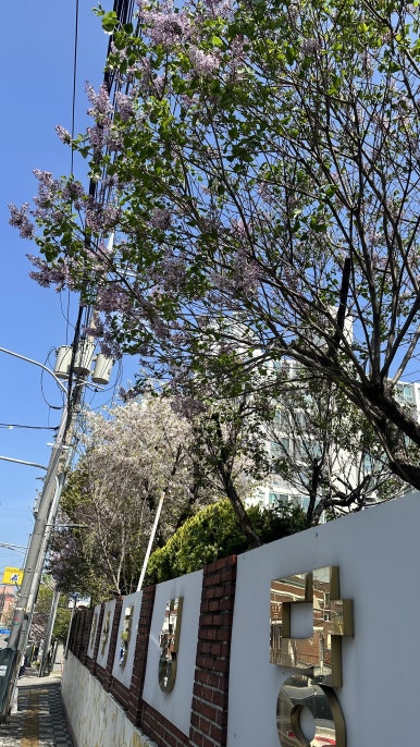 화수동커피집 이미지