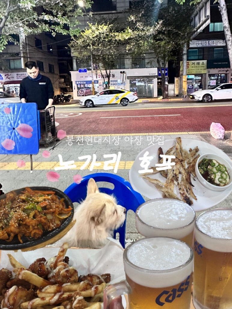 진짜노가리호프 이미지