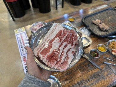 돈우팜 이미지