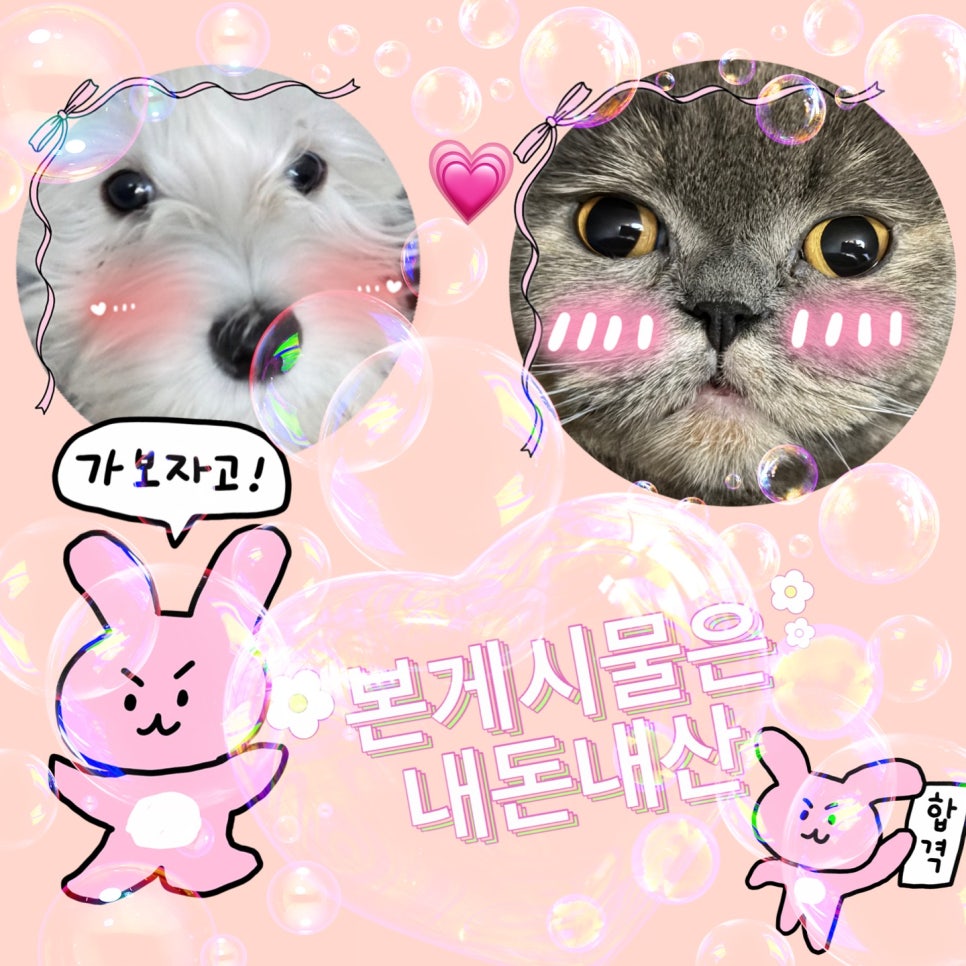 지티커피 모현점 이미지