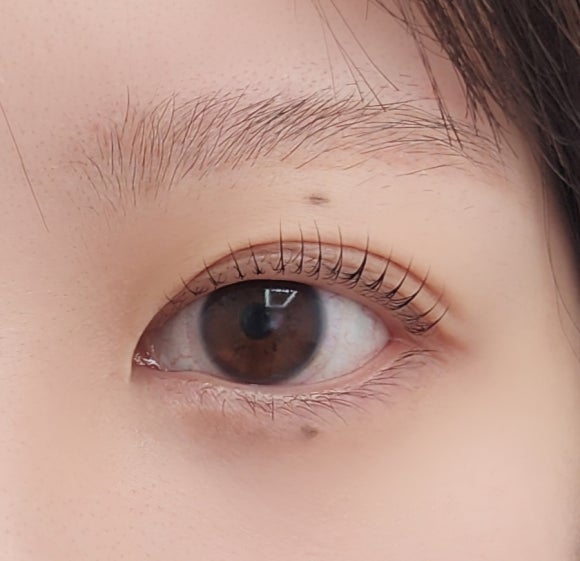 꼼썹뷰티 속눈썹펌 이미지