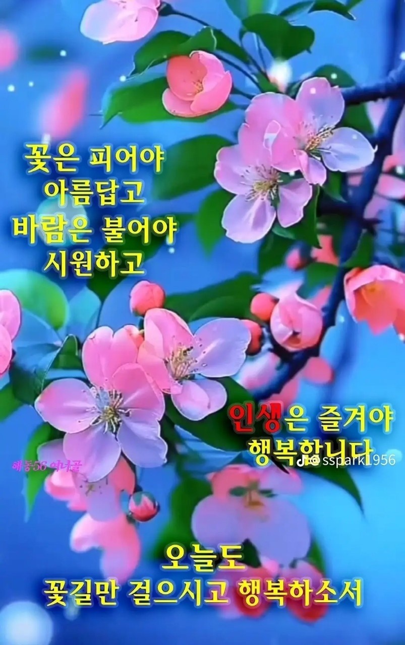 꽃날 이미지