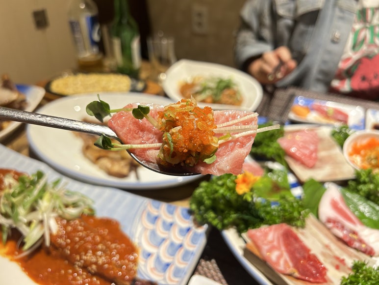 피지참치 이미지