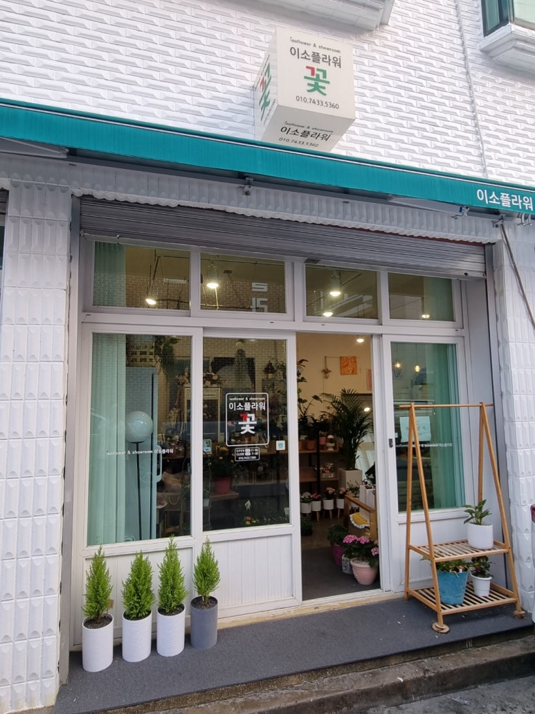 이소플라워 이미지