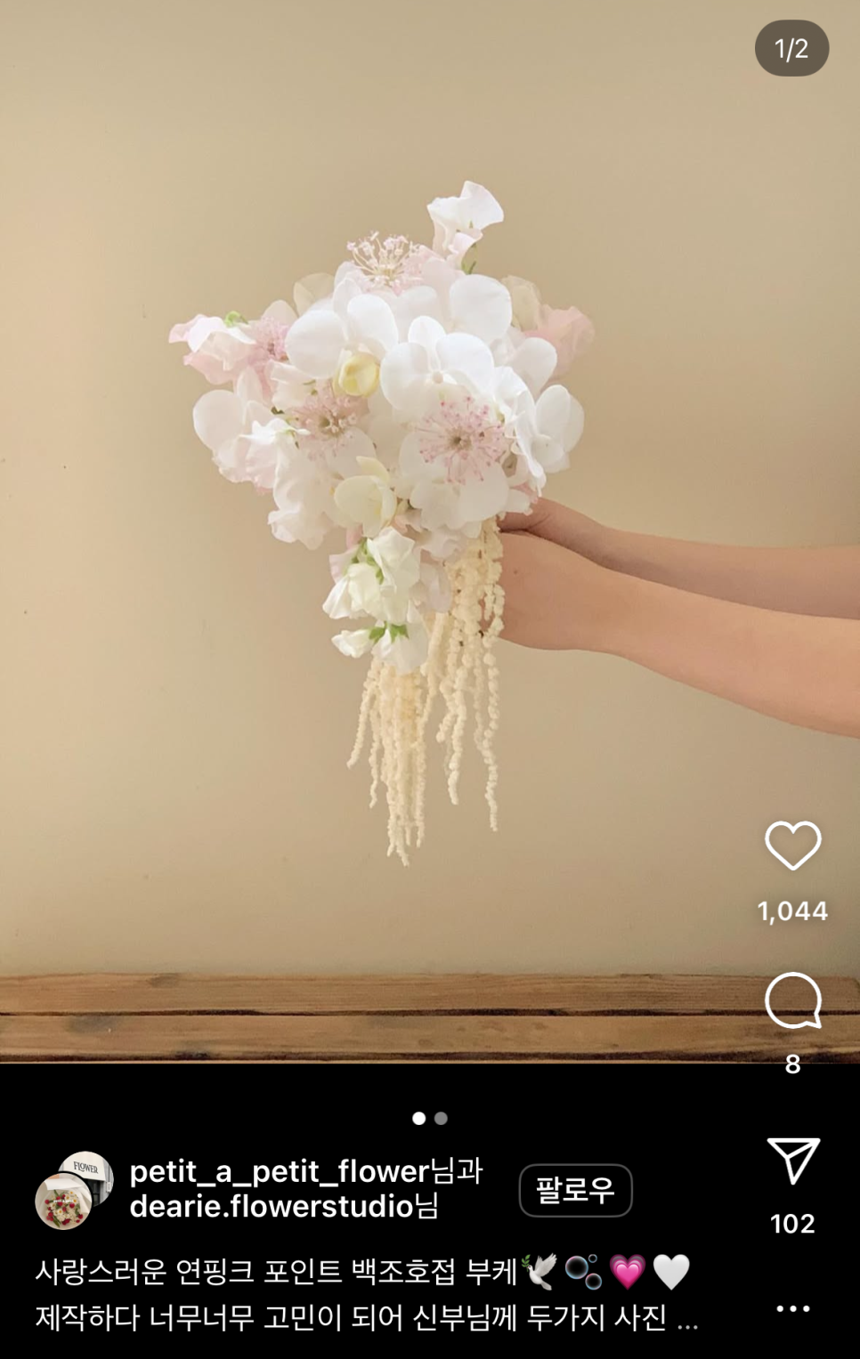 쁘띠아 이미지