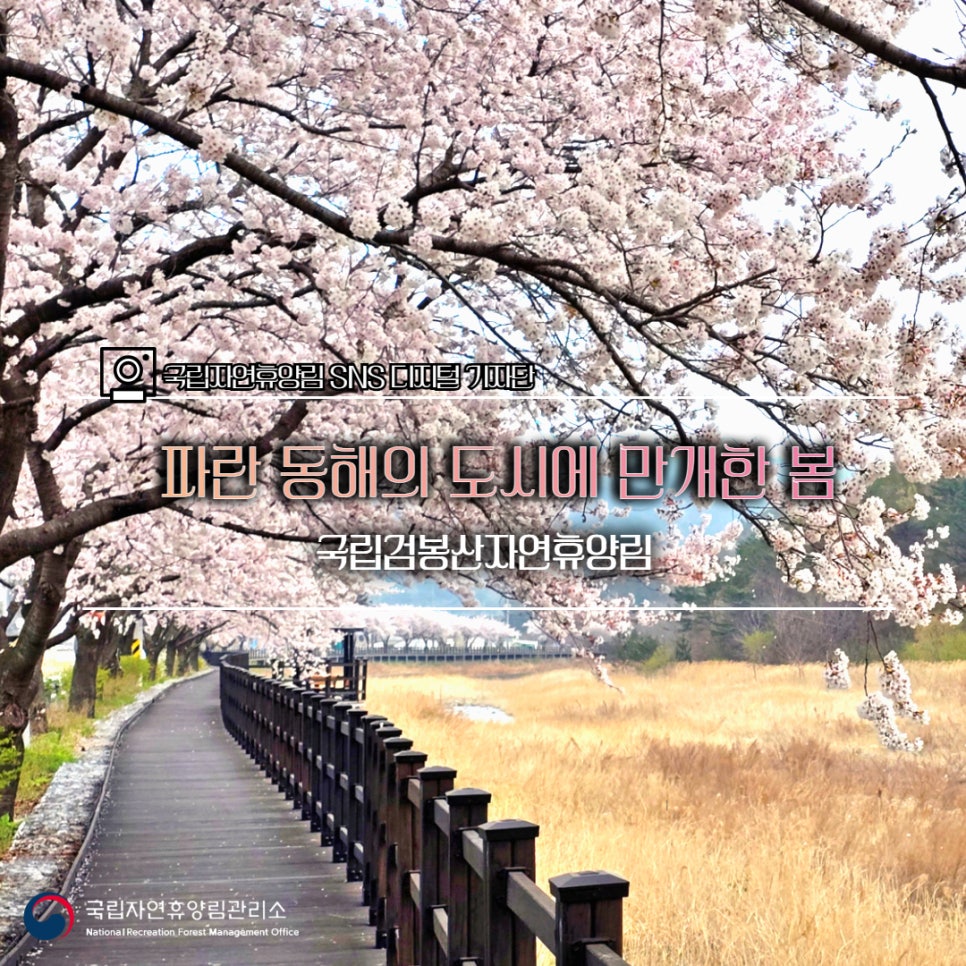 국립검봉산자연휴양림 이미지