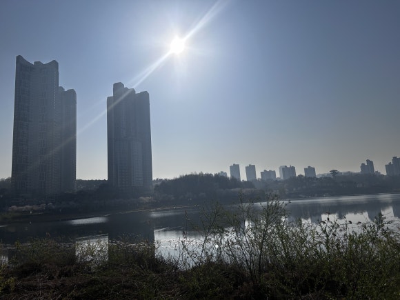 김화스포츠 이미지