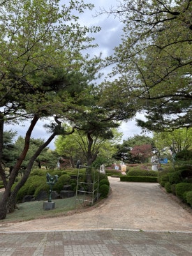 사파리쉼터 이미지