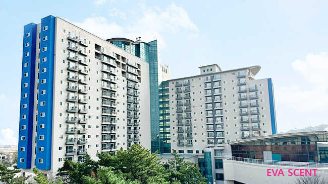 에바센트 이미지