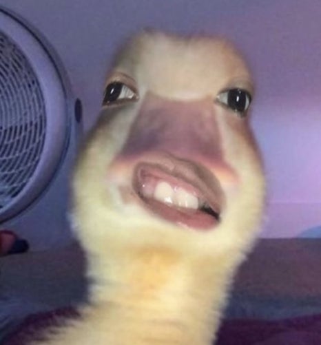 아마스빈 숙대점 이미지