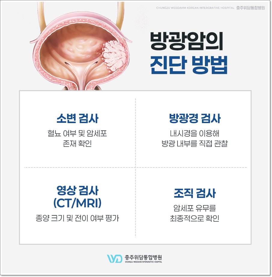 충주위담통합병원 이미지