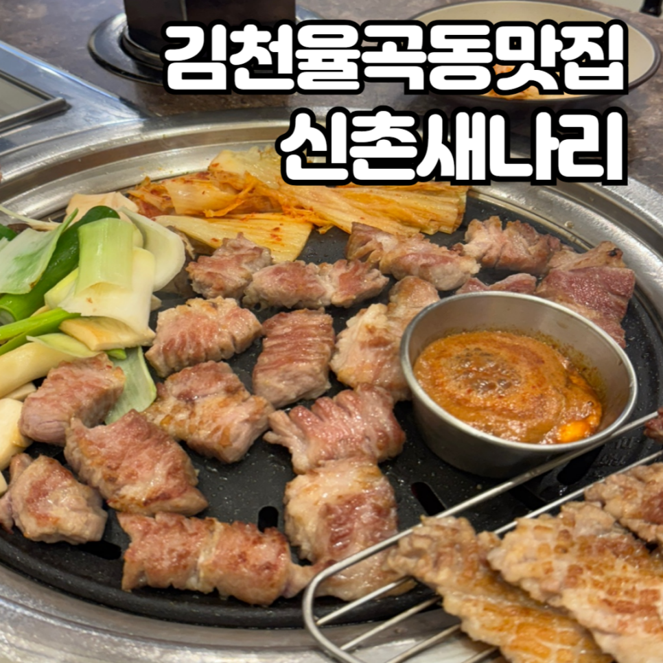 신촌새나리 이미지