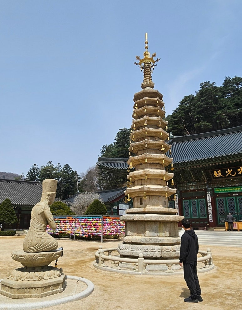 솔재옹심이막국수 이미지