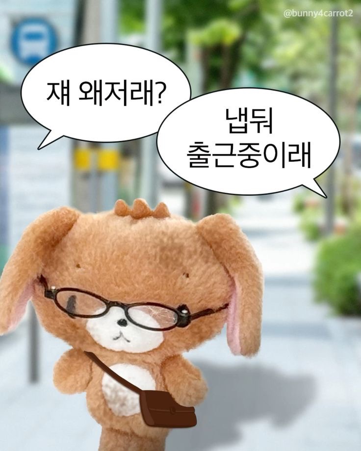 오늘선물 이미지