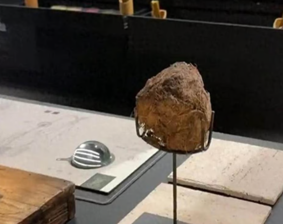 코끼리식품 이미지