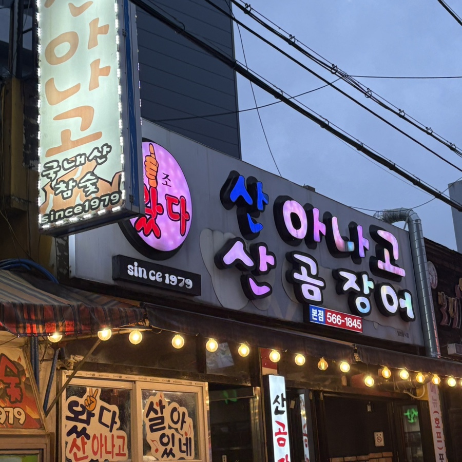 왔다산아나고 이미지
