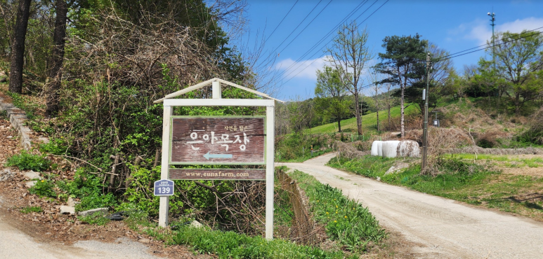은아정보 이미지