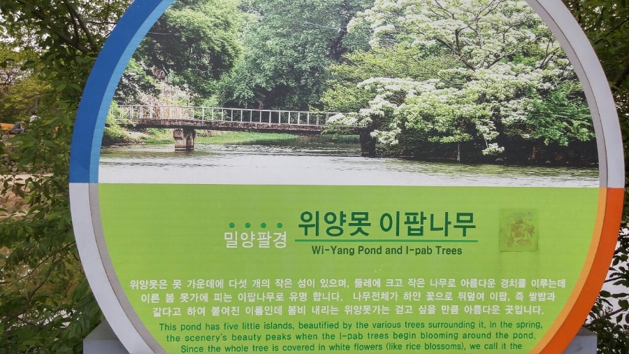 이팝인테리어 이미지