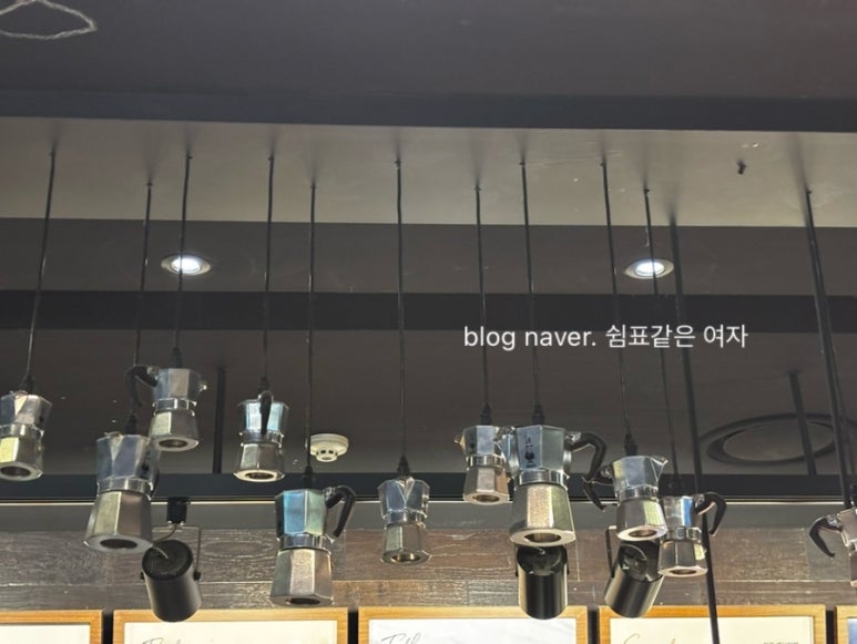 루고일산 이미지