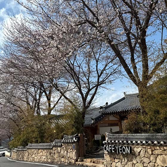 카페 연님 이미지