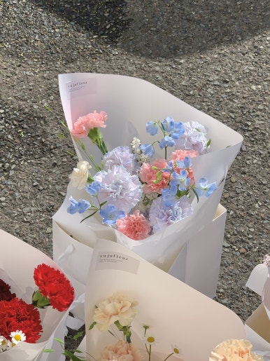 유주팔레트 이미지