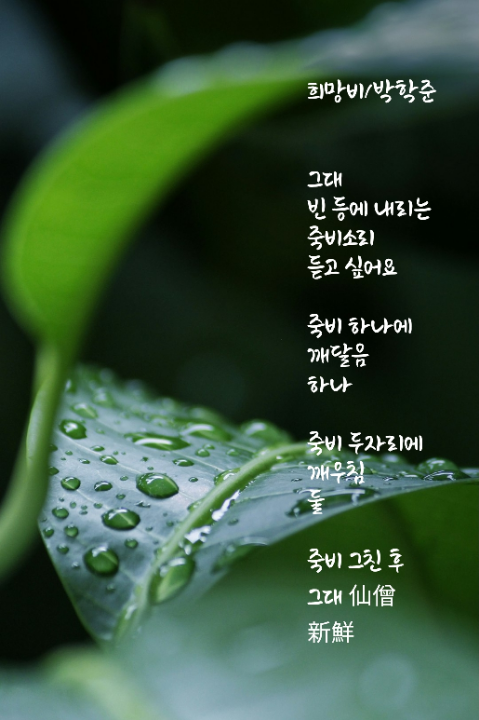 박학준 이미지