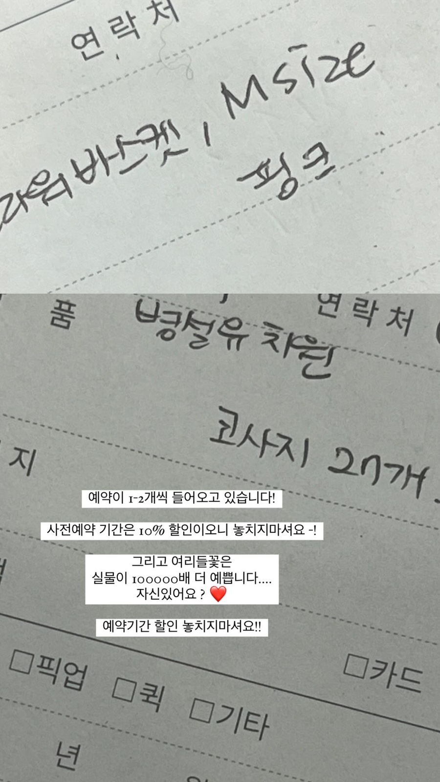여리들 이미지