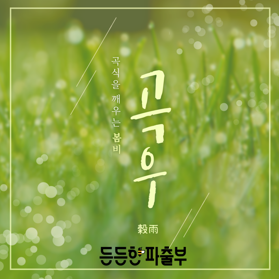 든든한파출부 시흥신천점 이미지