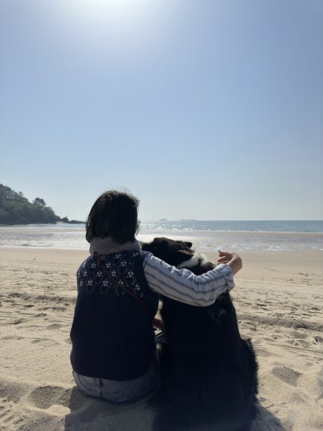 버섯놀이터변산농장 이미지