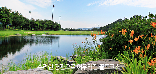 용원 이미지