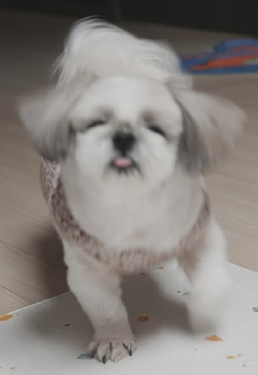 디자인모에 이미지