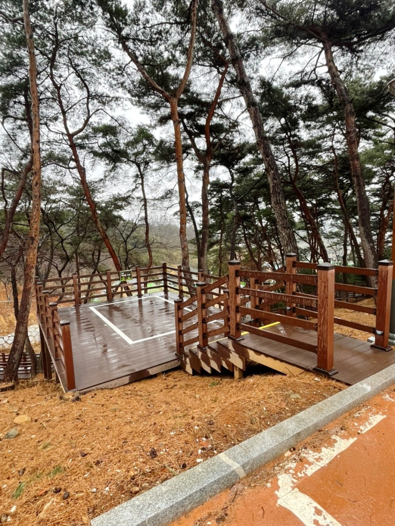 교룡공원 숲속야영장 이미지