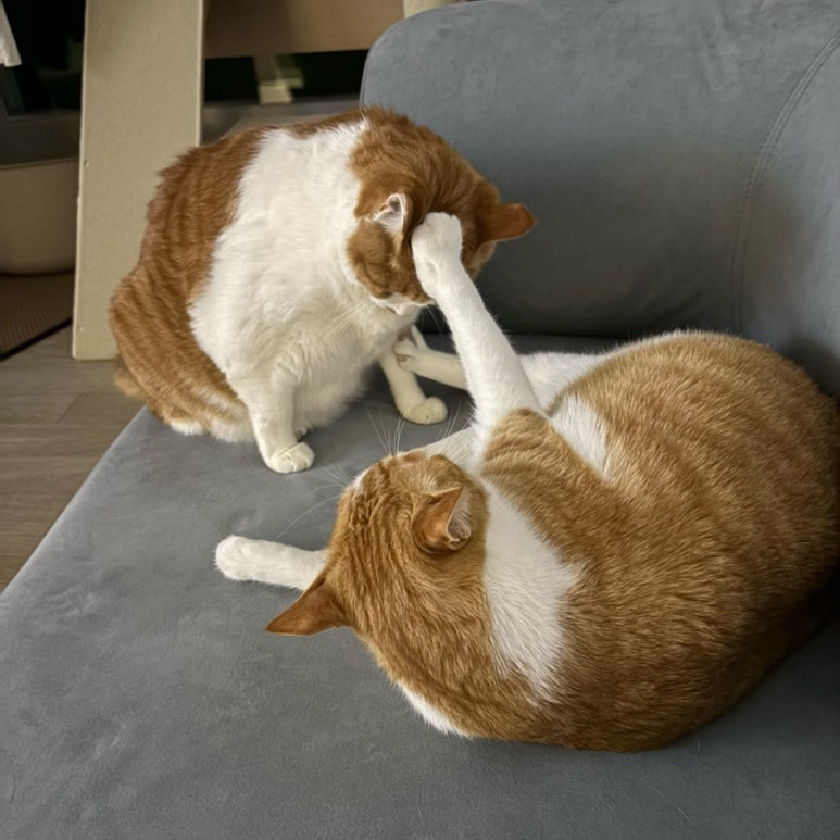 진미빈대떡 이미지