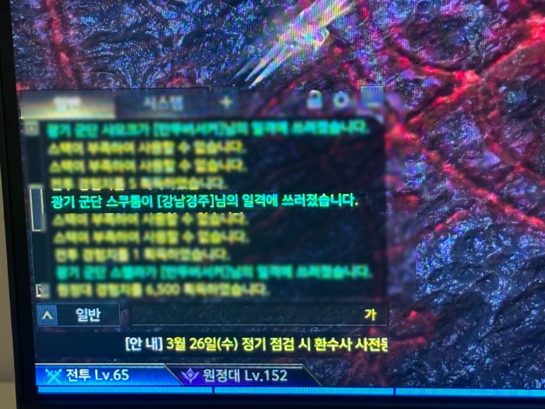 로아스시 이미지