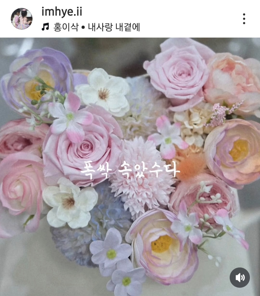 플로레리아 이미지