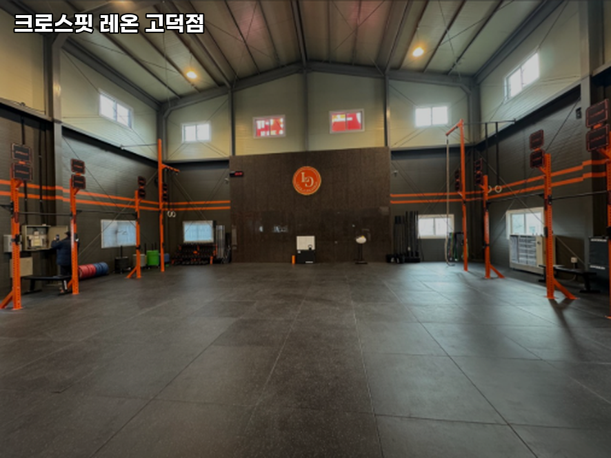 크로스핏레온 이미지