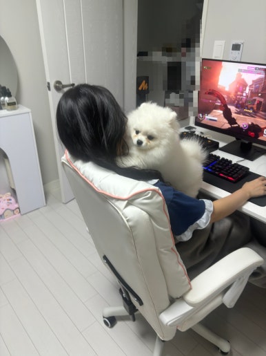 로아스시 이미지