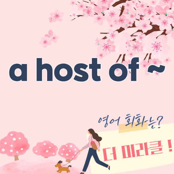 더미라클영어회화서울 이미지