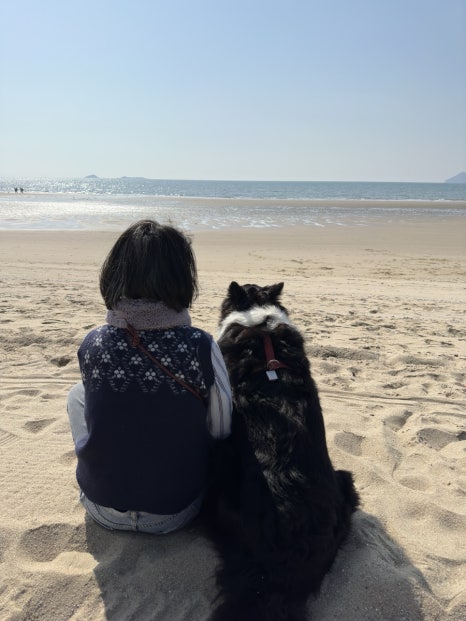 버섯놀이터변산농장 이미지