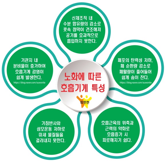 단원요양보호사교육원 이미지