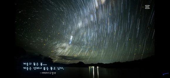 리종대부 이미지