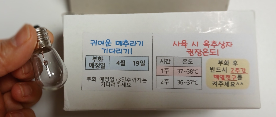 메추라기집 이미지