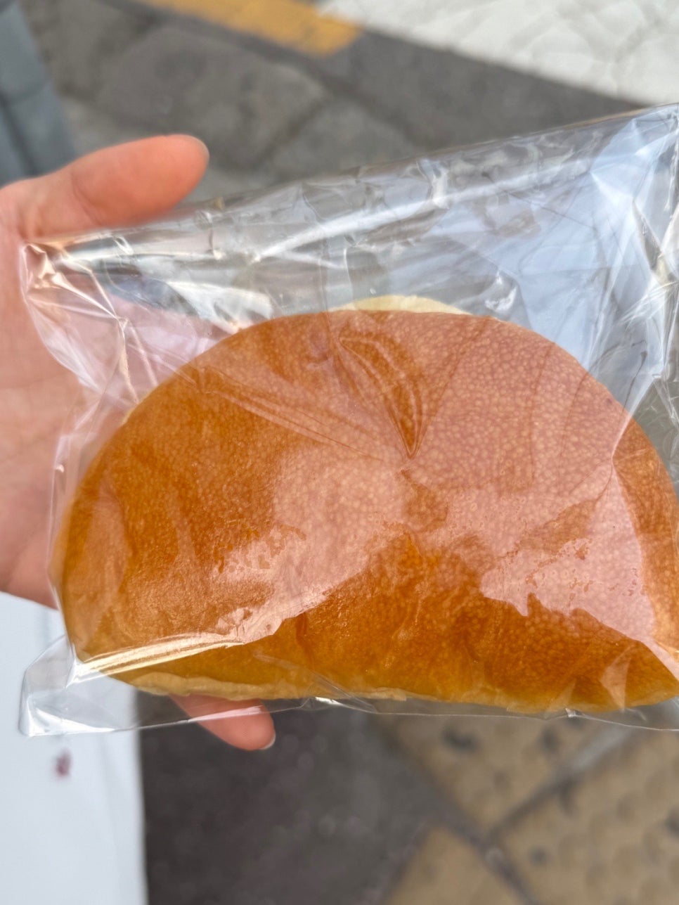 빵내솔 이미지