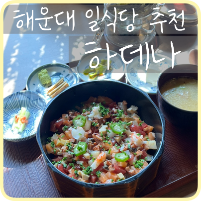 하데나 이미지
