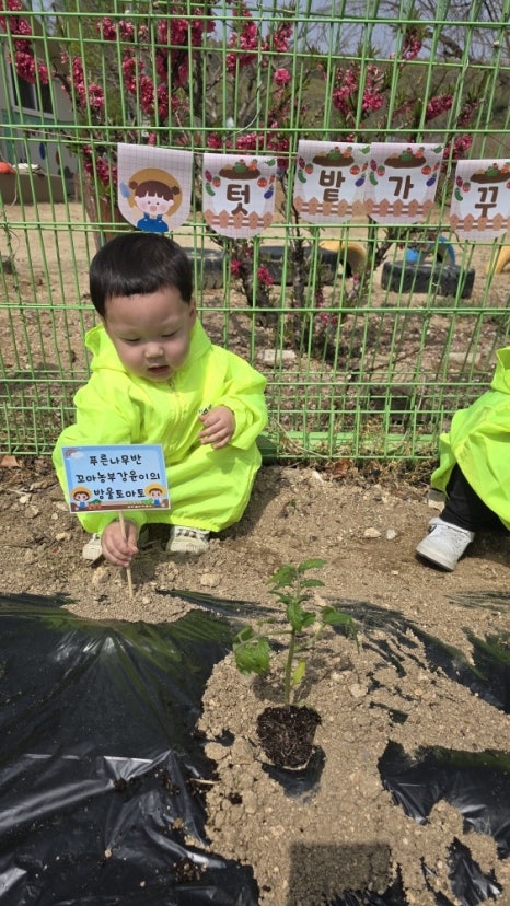 모종나라 이미지