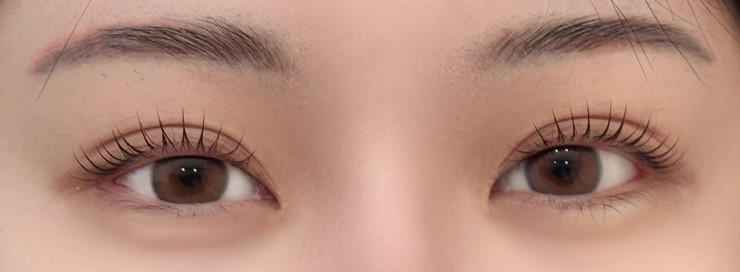 빛다브로우 이미지