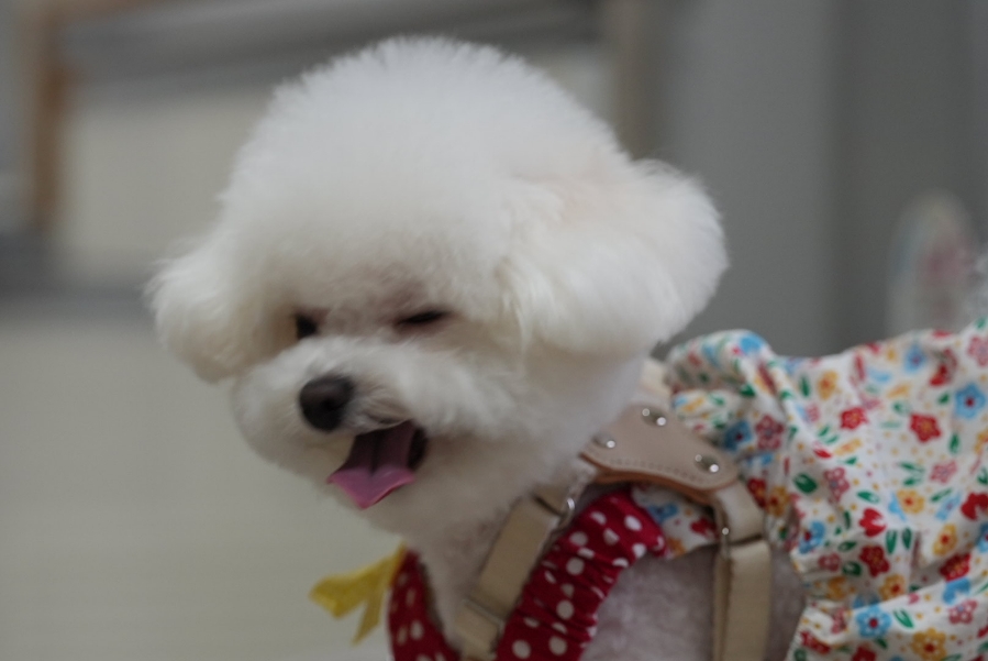 몽글스테이 이미지