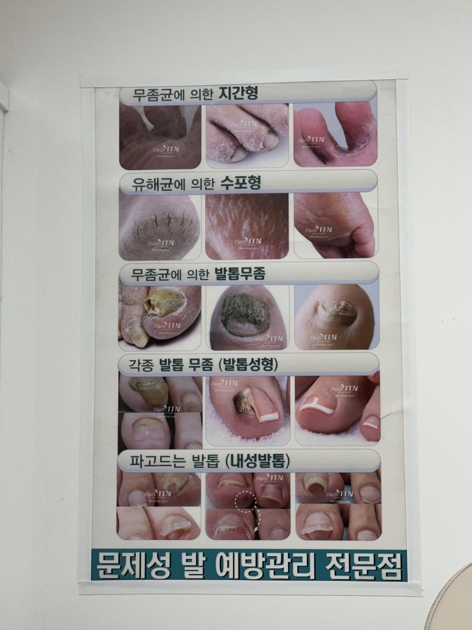 네일그리심 이미지